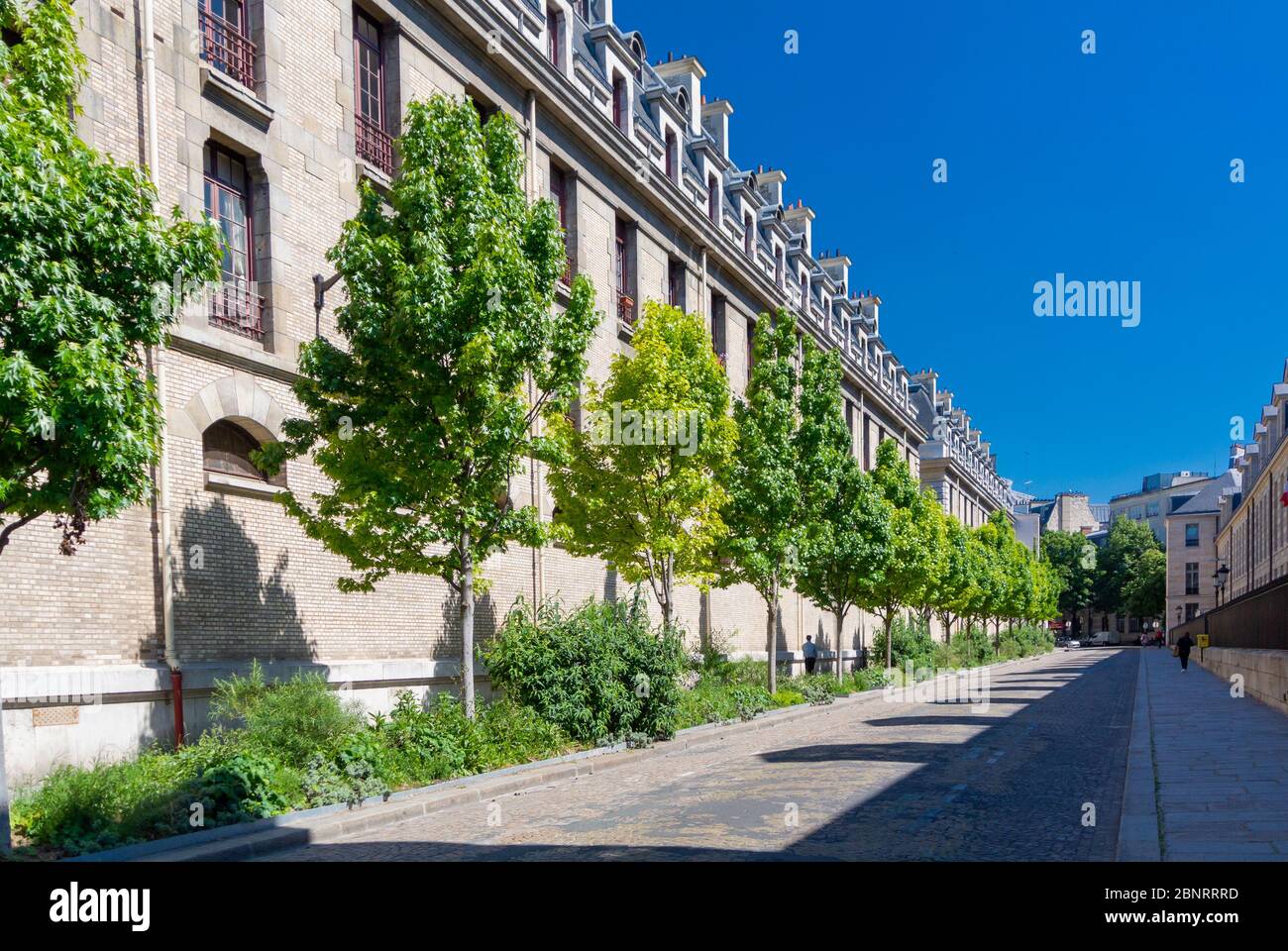 Paris, Ile de france/ France: Perspective view of rue de sully in 4th arrondissement district where there is a library: Bibliothèque de l Stock Photo