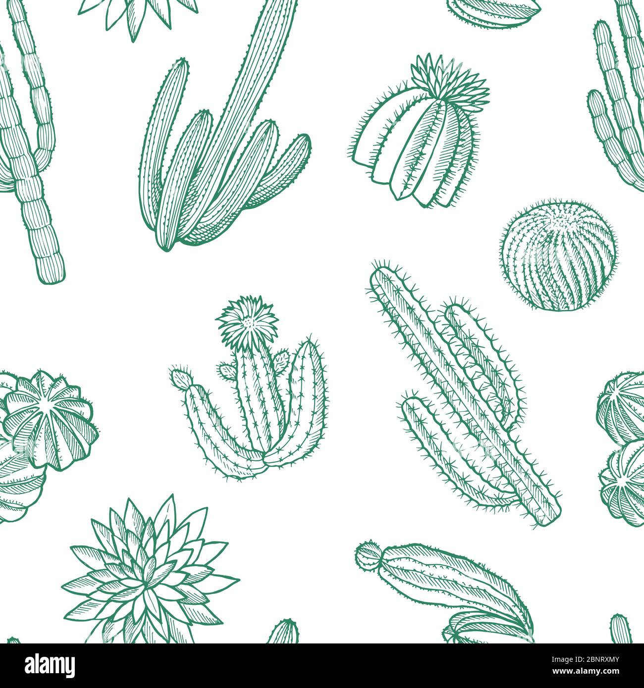 Vector hand drawn wild cacti plants pattern illustration Stock Vector ...