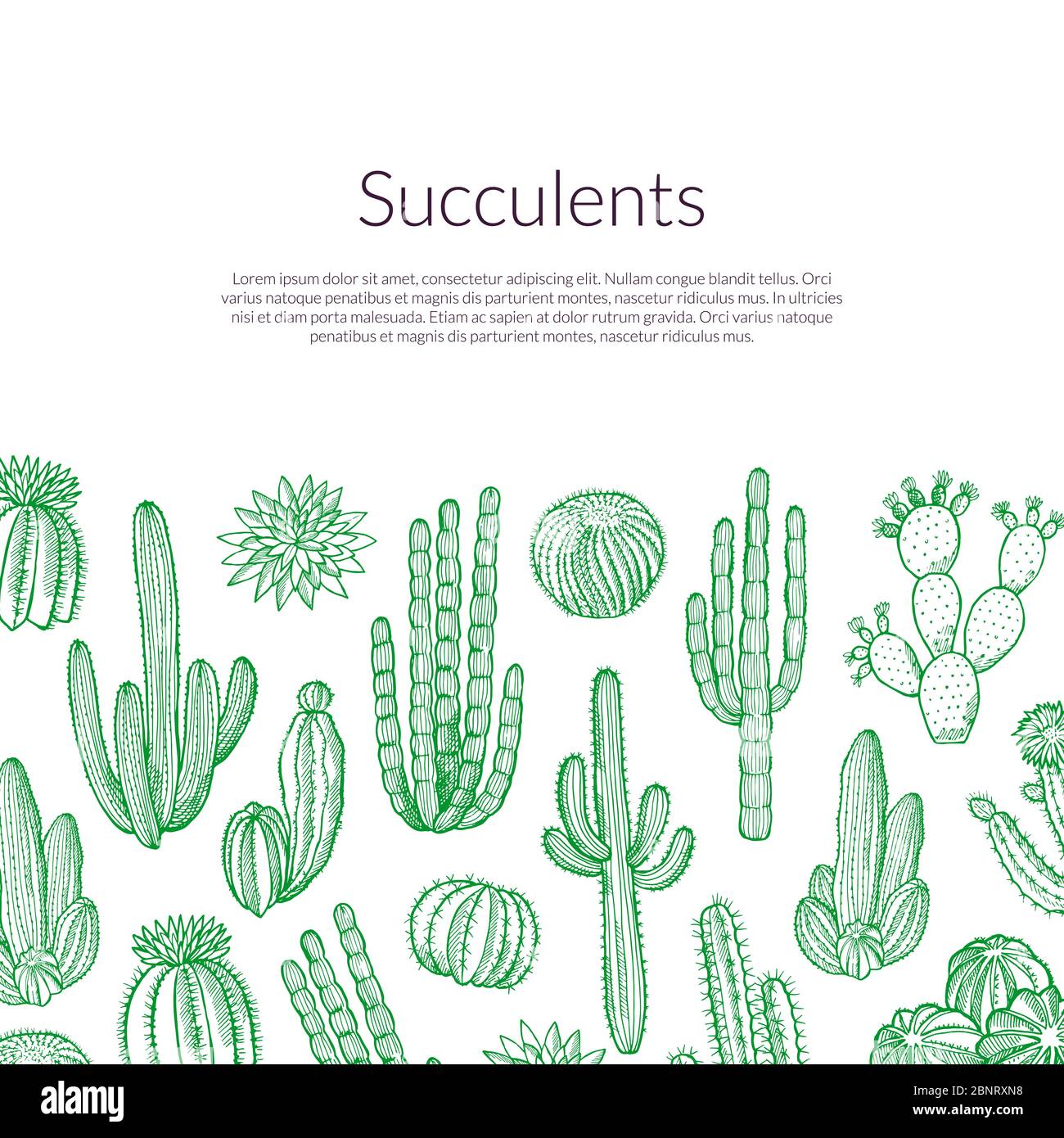 Vector hand drawn wild cacti plants background with place for text ...