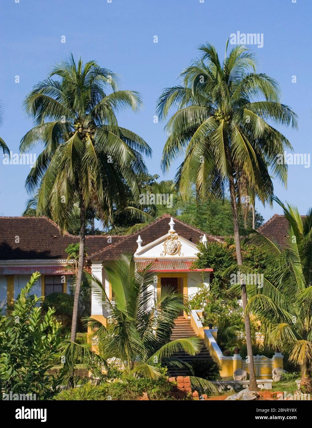 Quepem hires stock photography and images Alamy