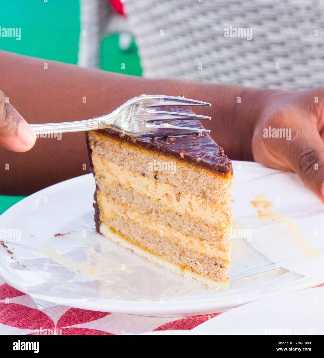 multilayer cake with chocolate, hazelnut and buckwheat covered with bitter cocoa and almonds