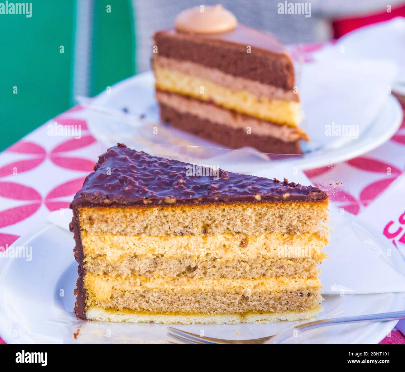 multilayer cake with chocolate, hazelnut and buckwheat covered with bitter cocoa and almonds