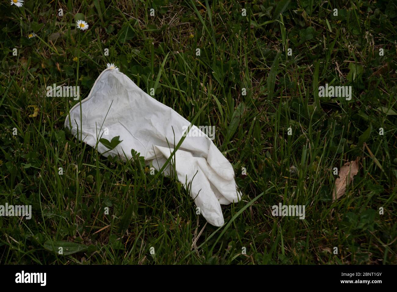 Sheffield UK May 13 2020 abandoned white rubber glove discarded on the floor, protective PPE