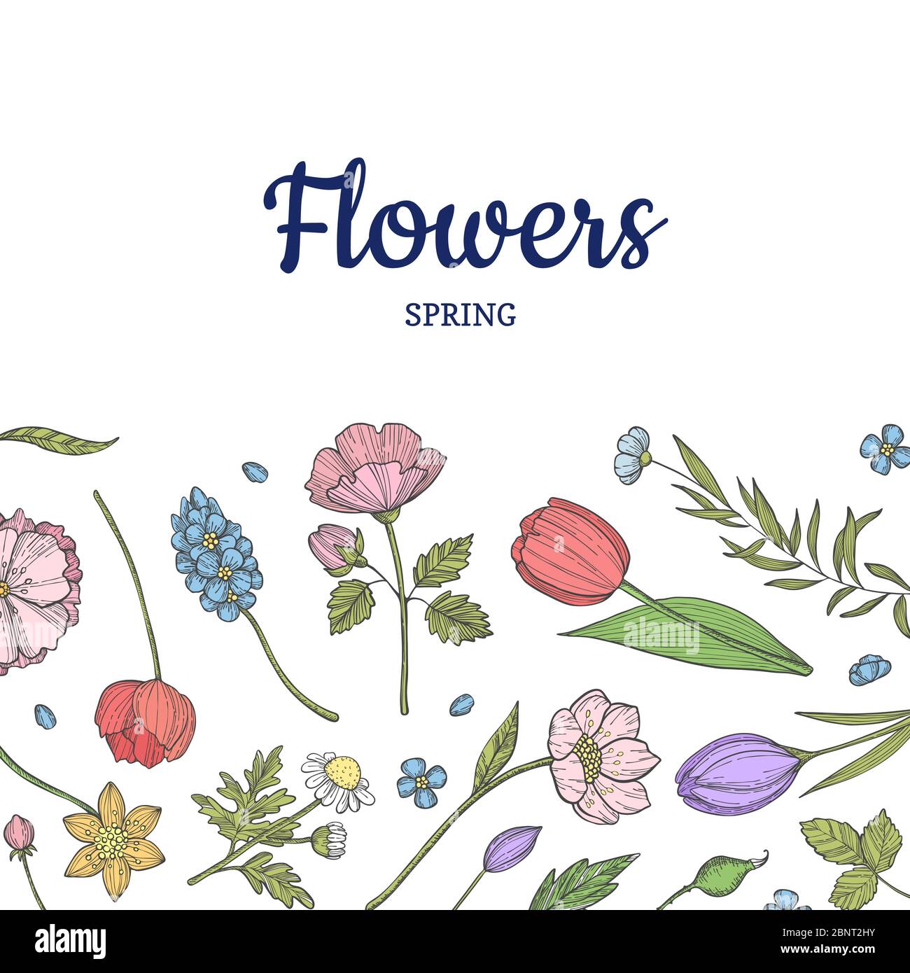 Vector hand drawn flowers background banner poster Stock Vector Image ...