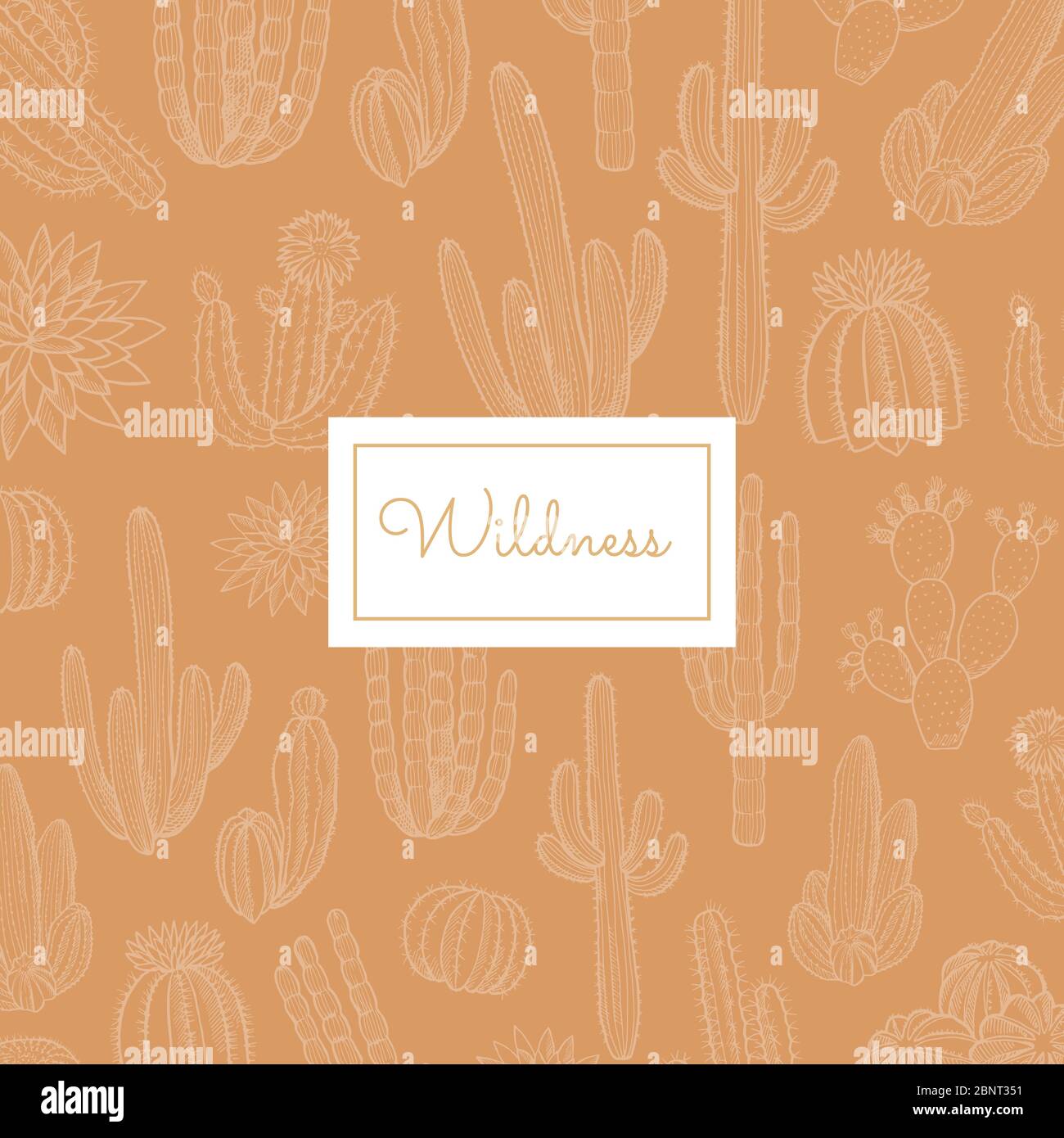Vector hand drawn cacti with place for text illustration Stock Vector ...