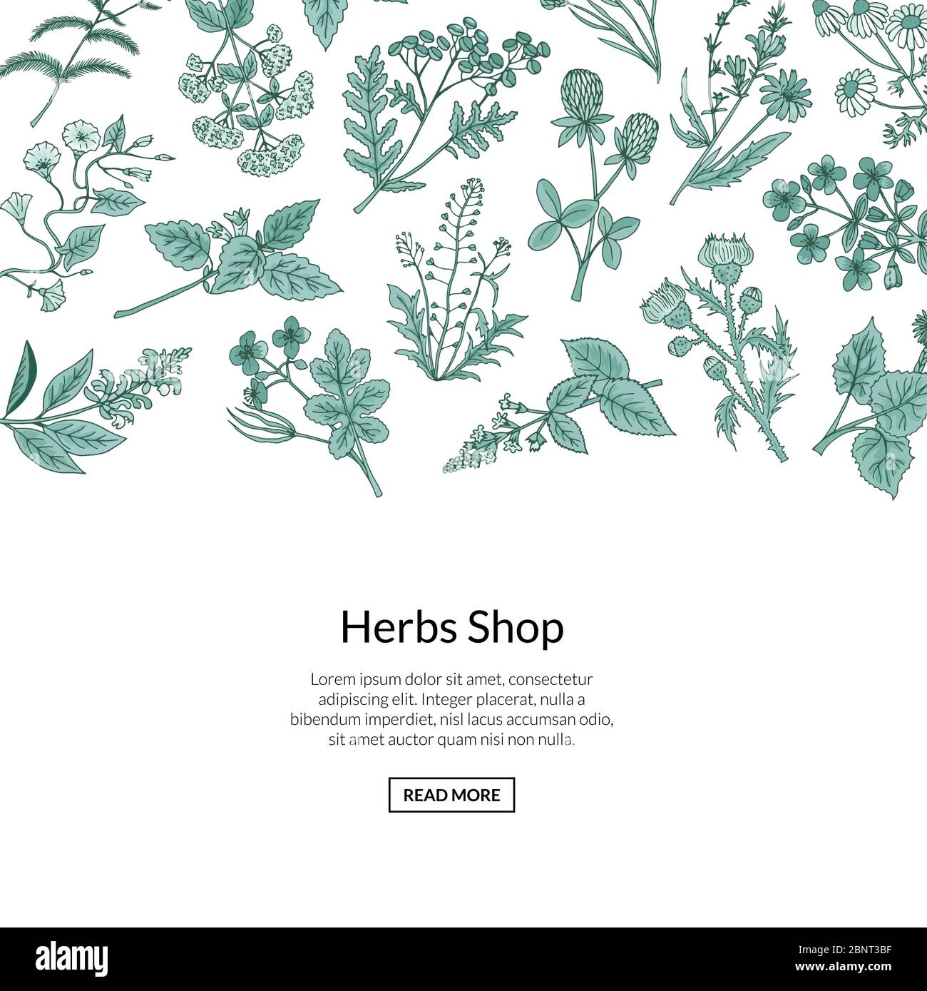 Vector hand drawn medical herbs background with place for text ...