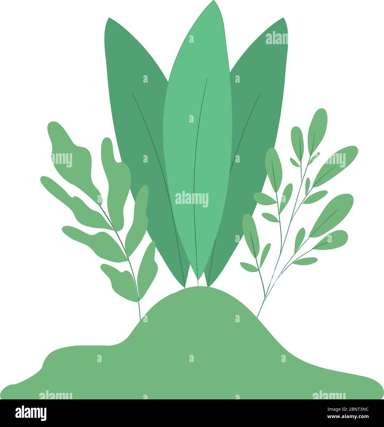 Isolated green leaves vector design Stock Vector Image & Art - Alamy