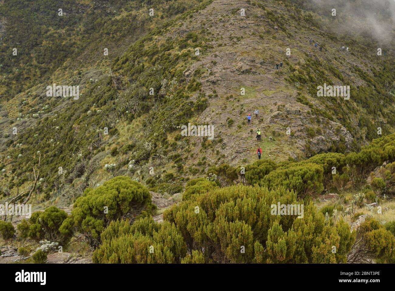 Aerial view of hikers against mountain, Aberdare Ranges, Kenya Stock Photo