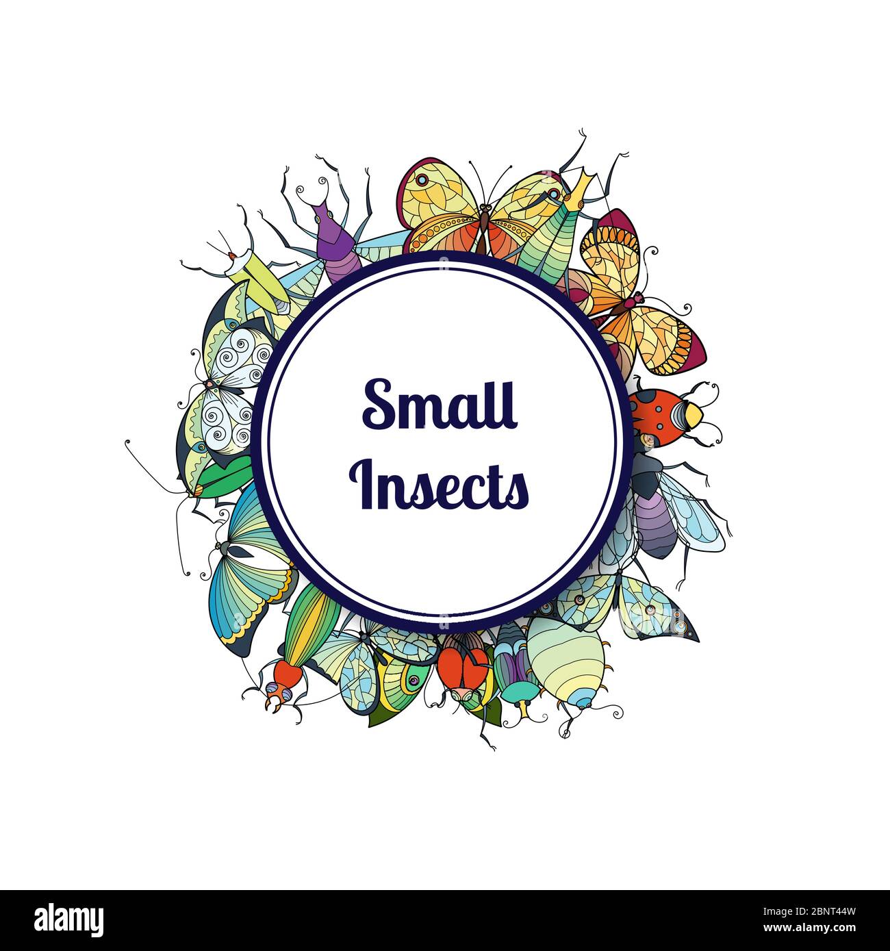 Vector hand drawn insects isolated on white Stock Vector Image & Art ...