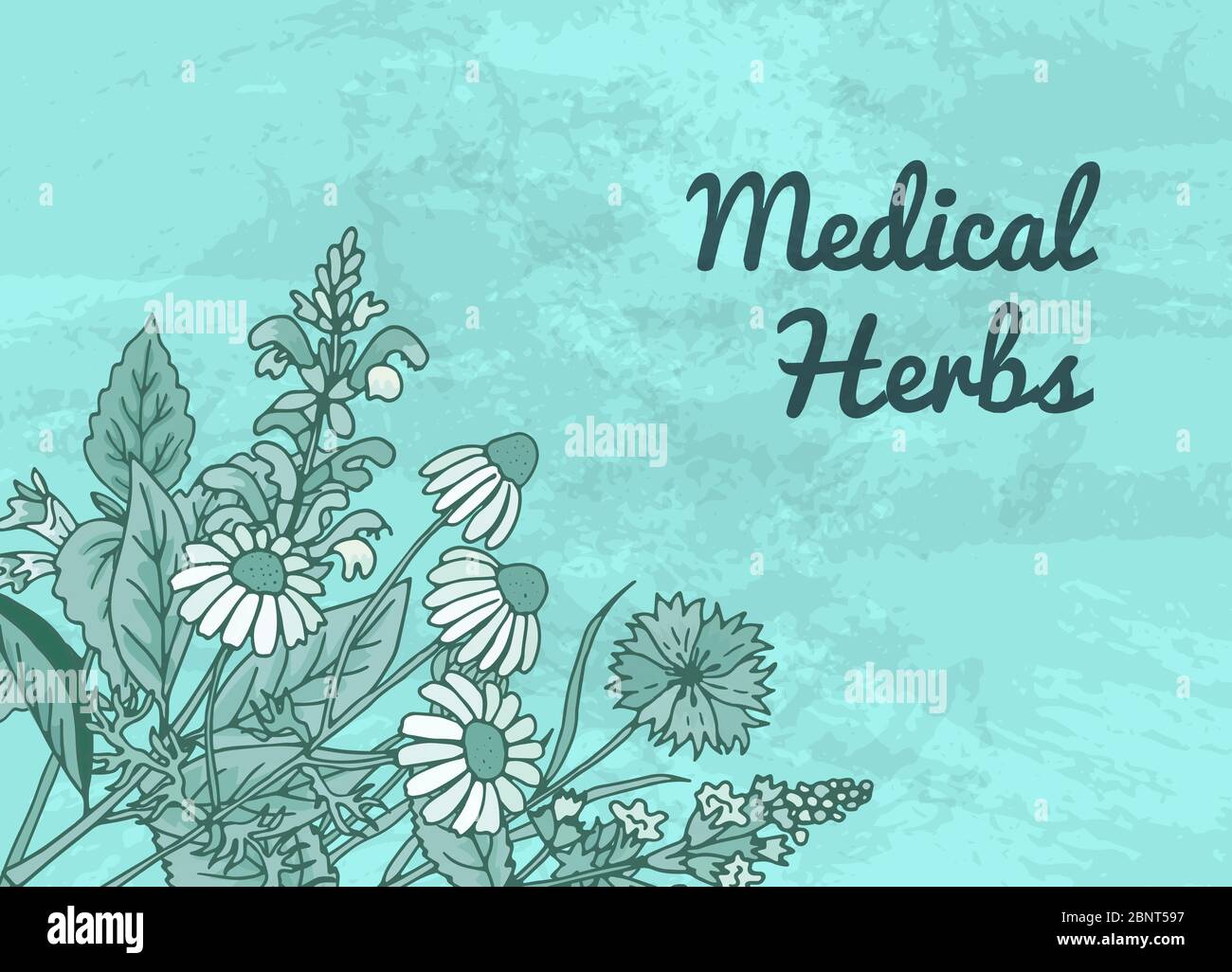 Vector hand drawn medical herbs background with place for text ...