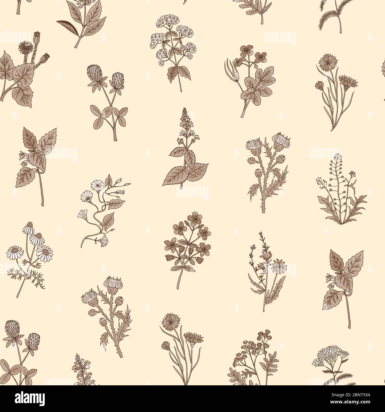 Vector hand drawn medical herbs pattern or background illustration ...