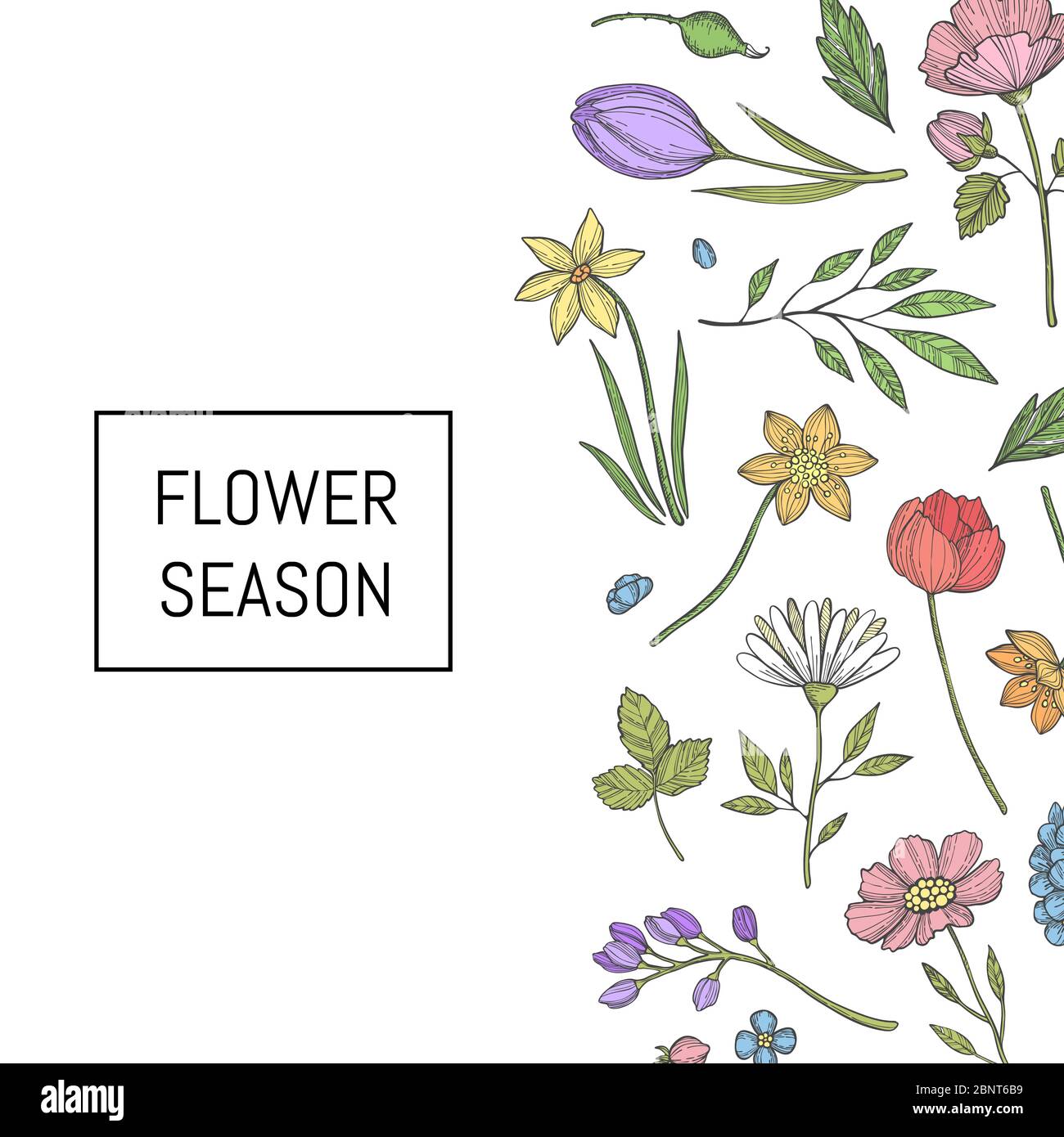 Vector hand drawn flowers background illustration banner Stock Vector ...