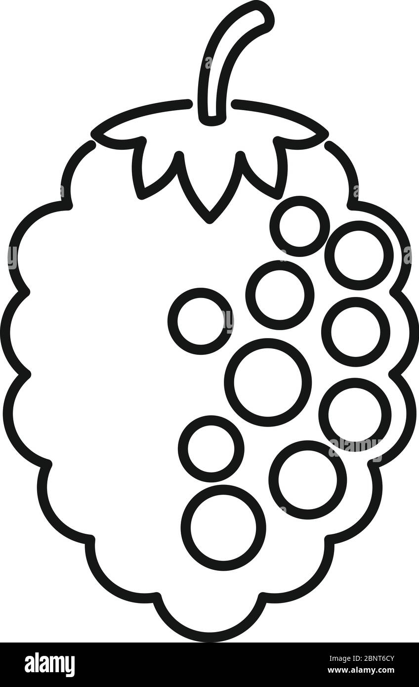 Rowan blackberry icon. Outline rowan blackberry vector icon for web design isolated on white background Stock Vector