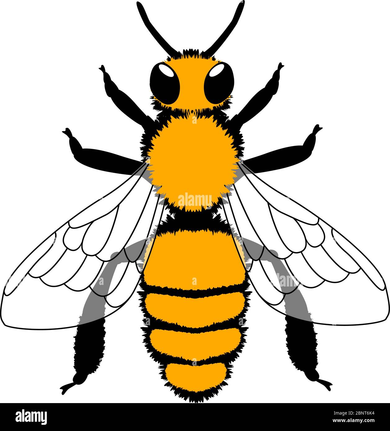 Bee. Black and yellow vector illustration. Isolated on white. Stock Vector
