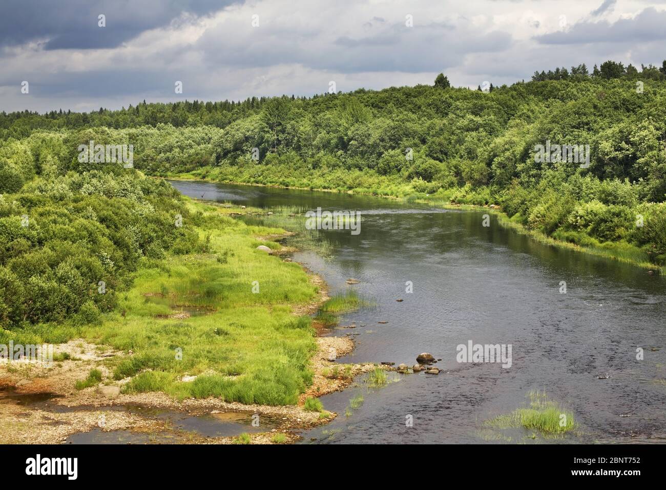 Voloshka river near Lazarevskaya village. Kargopolsky district. Arkhangelsk oblast. Russia Stock Photo