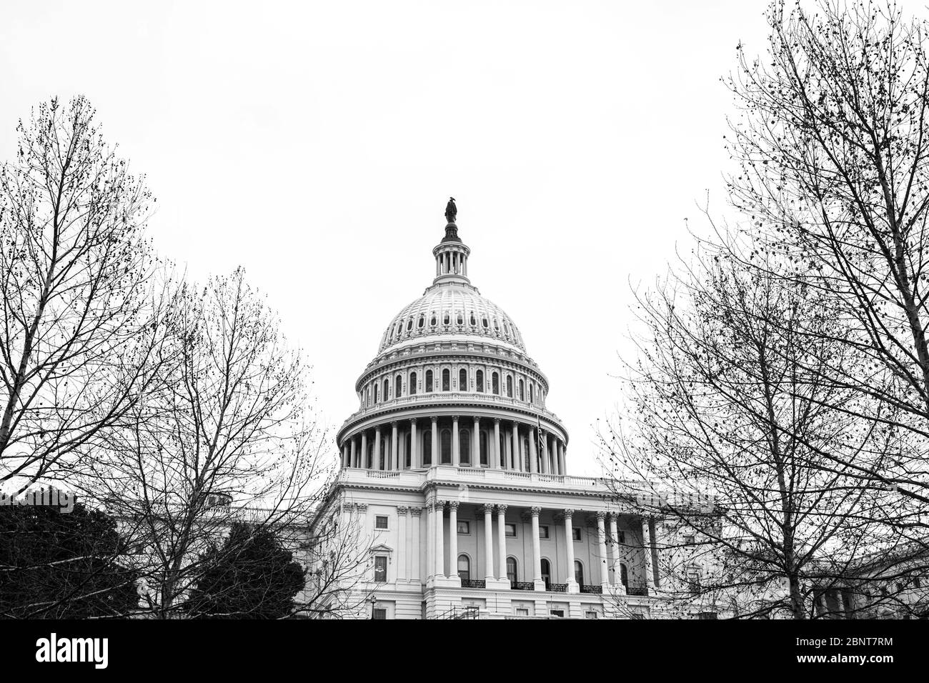United States Capitol in Washington DC Stock Photo - Alamy