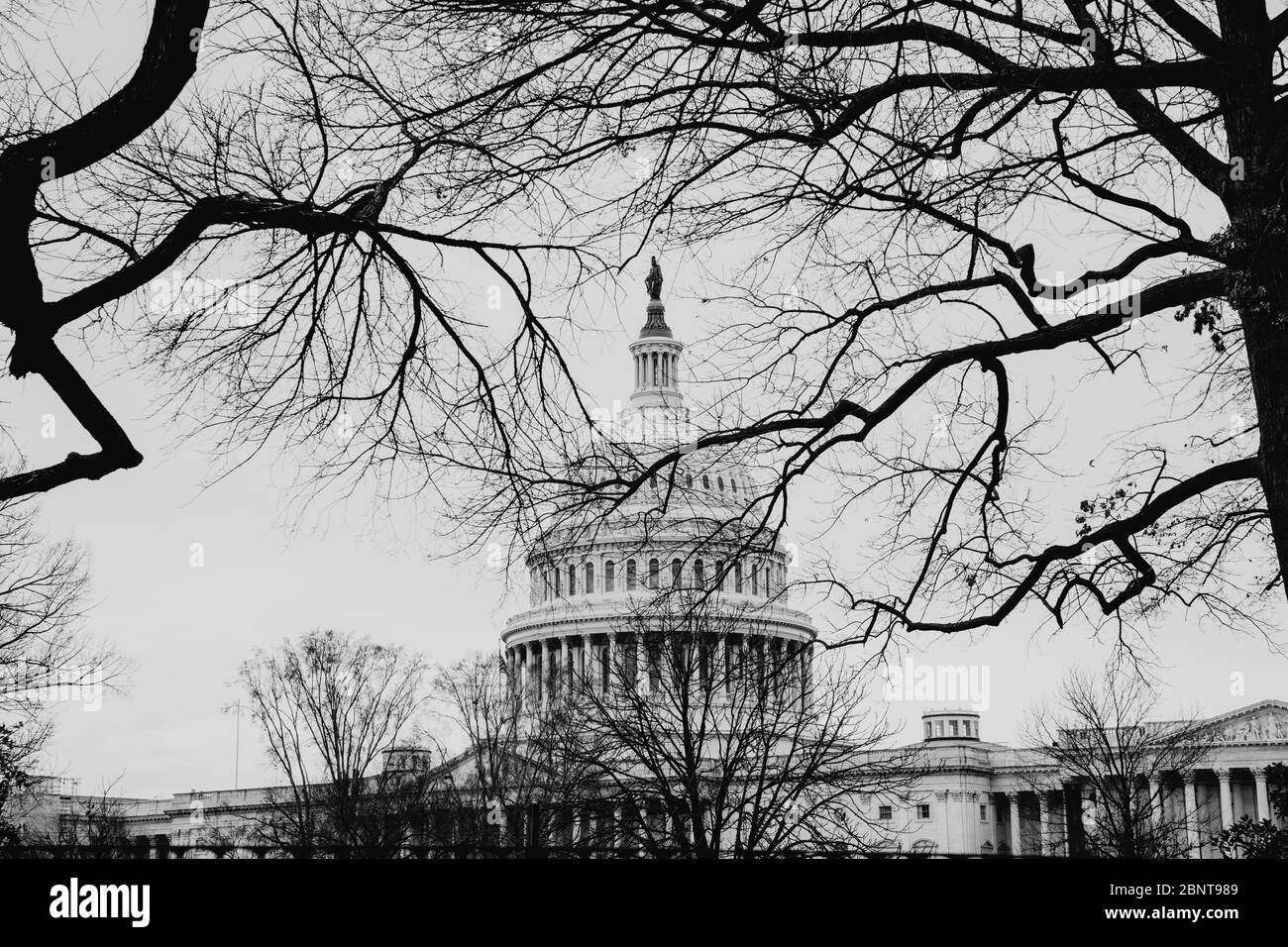 United States Capitol in Washington DC Stock Photo - Alamy