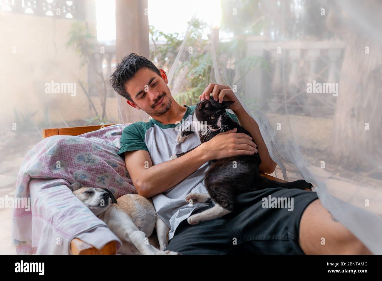 young man sitting in a chair in the garden behind a mosquito net, strokes the head of a black cat sitting on his side. There is a dog sleeping on the Stock Photo