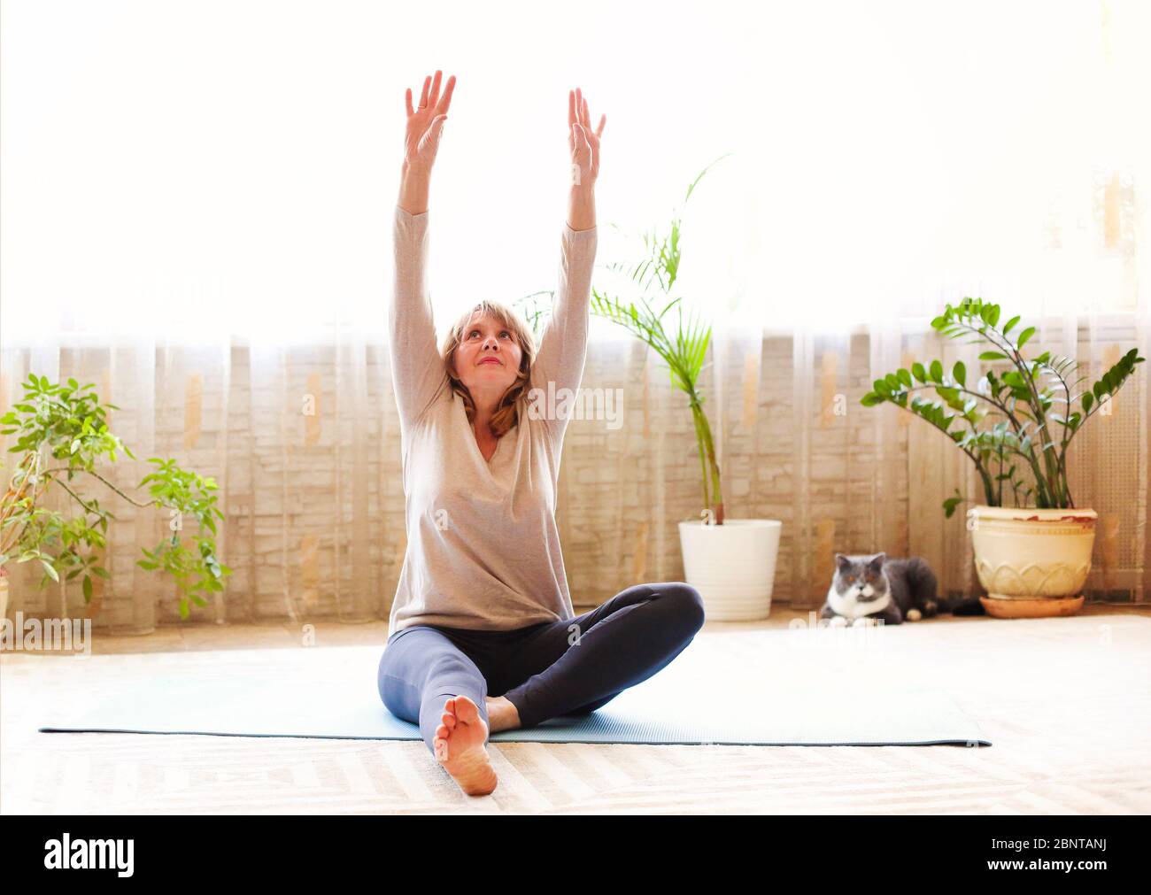 Body adult hi-res stock photography and images - Alamy