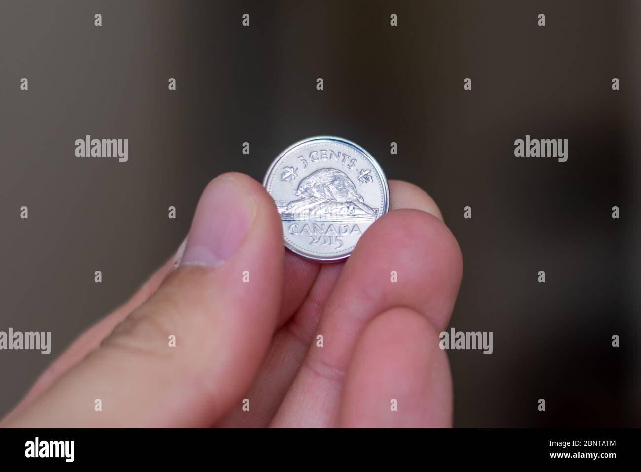 Close up on canadian coins hires stock photography and images Alamy