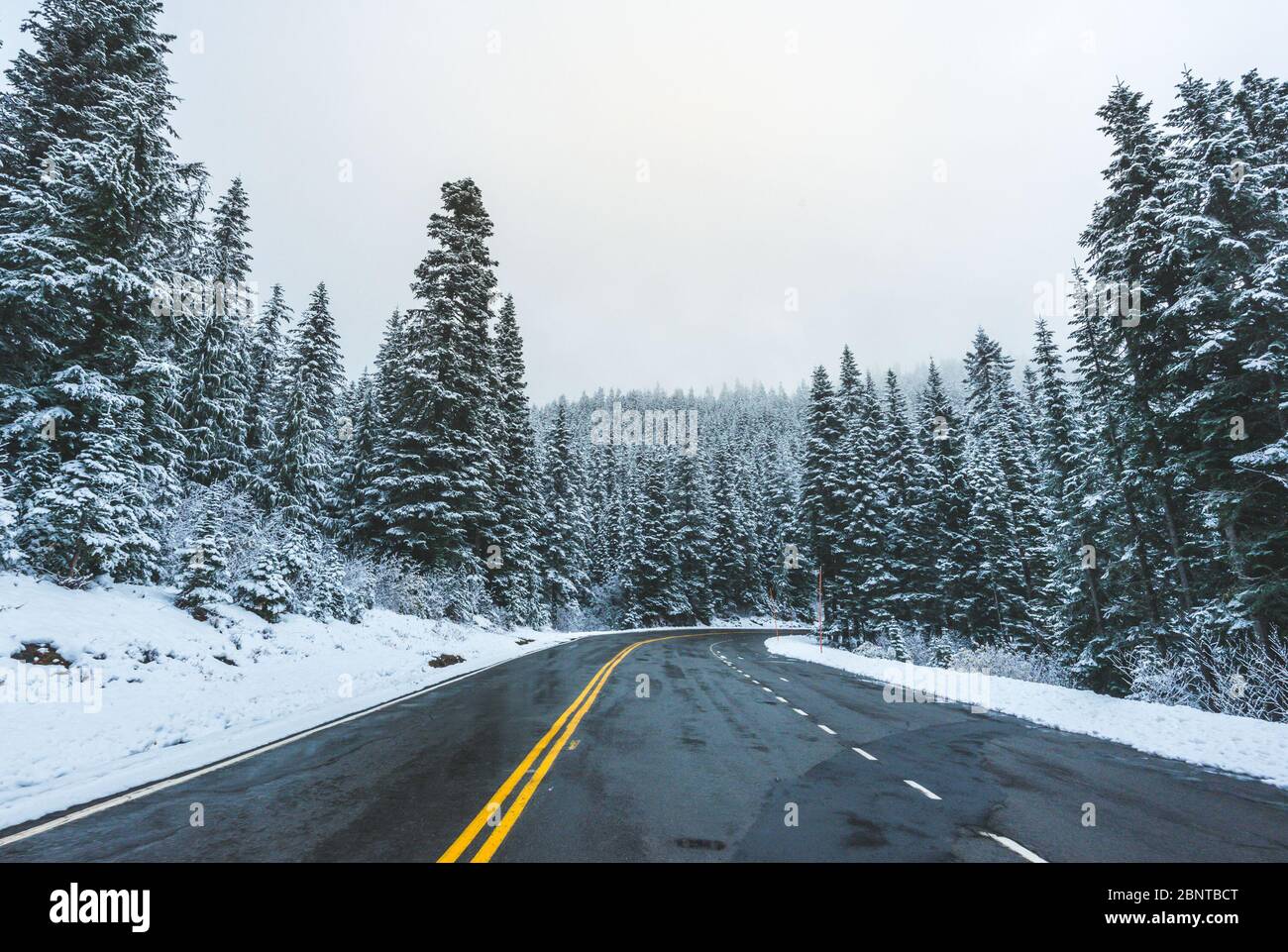 scenic view of the road in the forest with snow covered Stock Photo - Alamy