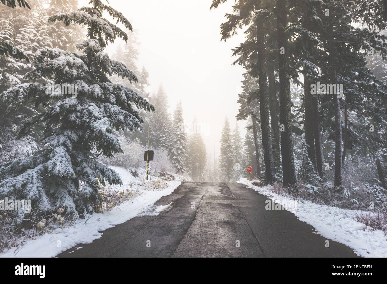 scenic view of the road in the forest with snow covered Stock Photo - Alamy