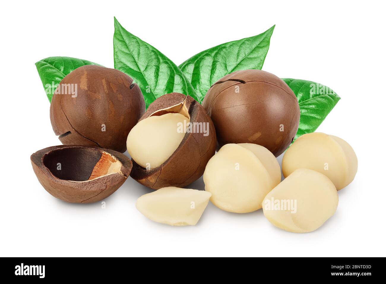 macadamia nuts isolated on white background with clipping path and full depth of field, Stock Photo