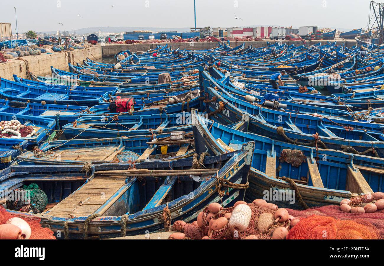 fleet of blue fishing boats in port of  Essaouira morroco north africa Stock Photo