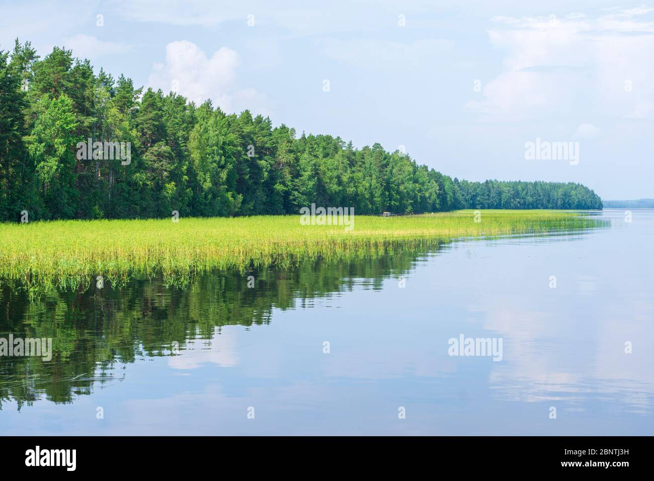View of cape ending to Lake Pohjois-Konnevesi at Summer , Finland Stock Photo