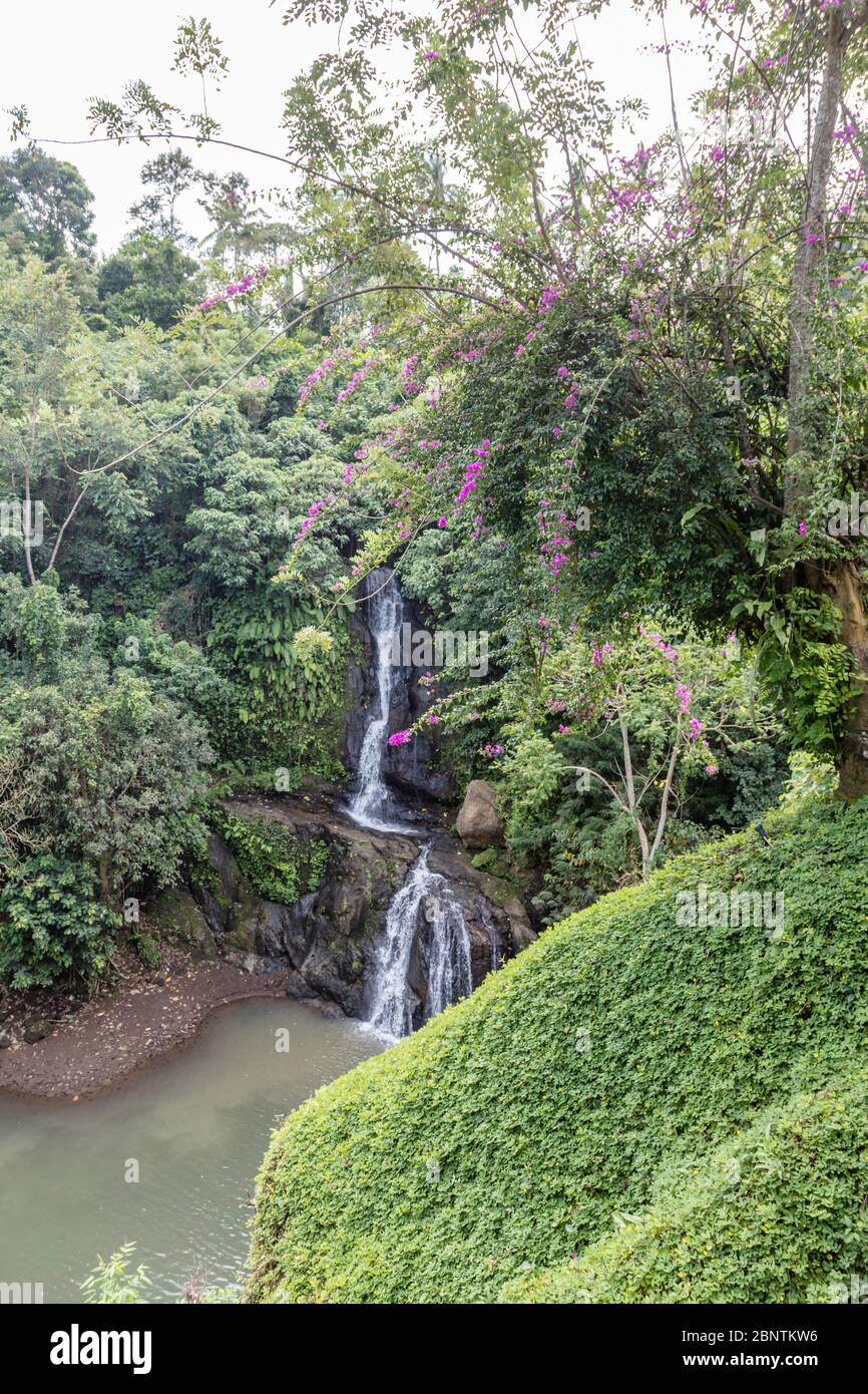 Layana waterfall in Ubud. Gianyar, Bali, Indonesia. Vertical image. Stock Photo