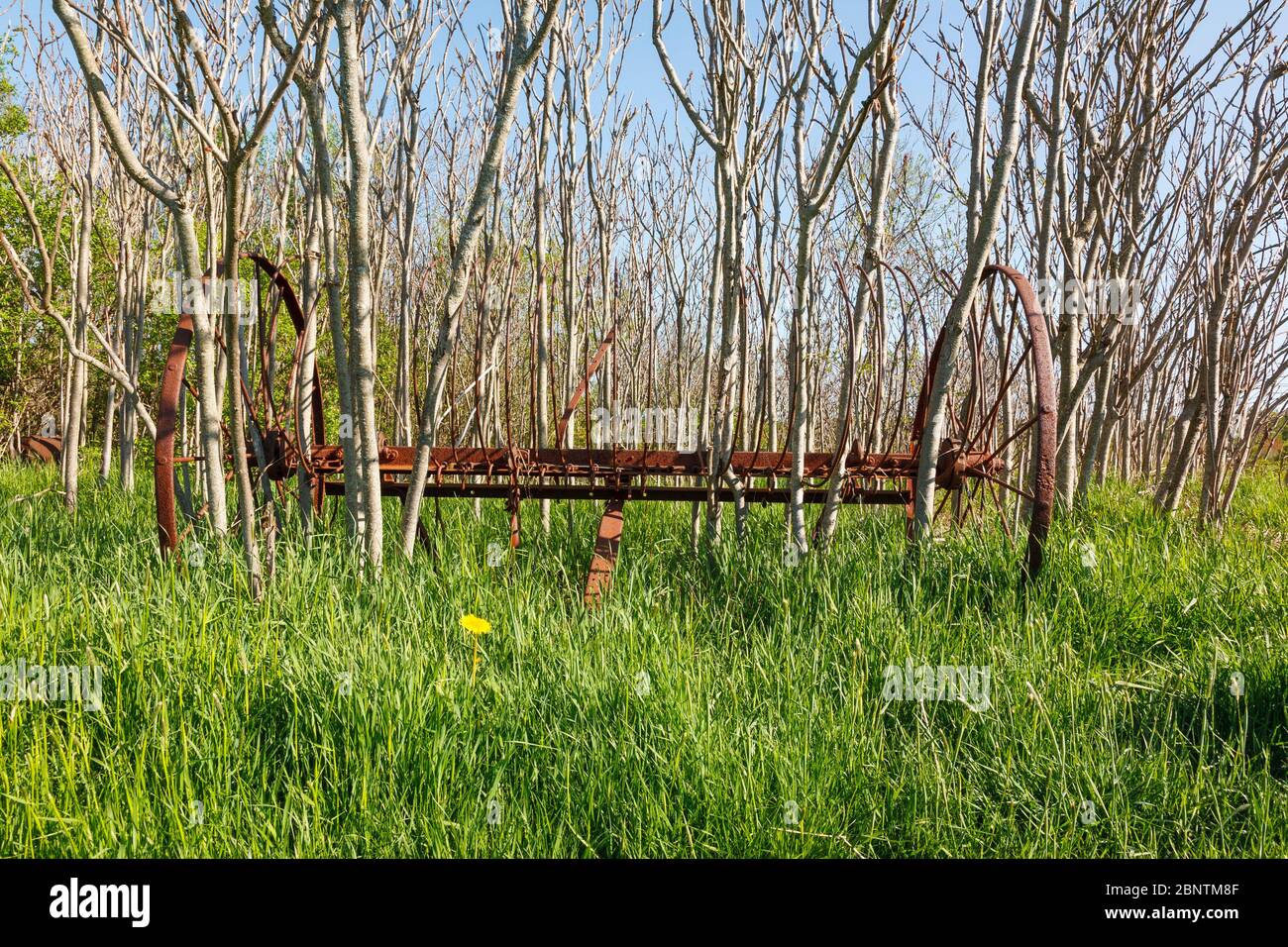 Old hay rake at at Wagon Hill Farm in Durham, New Hampshire USA Stock