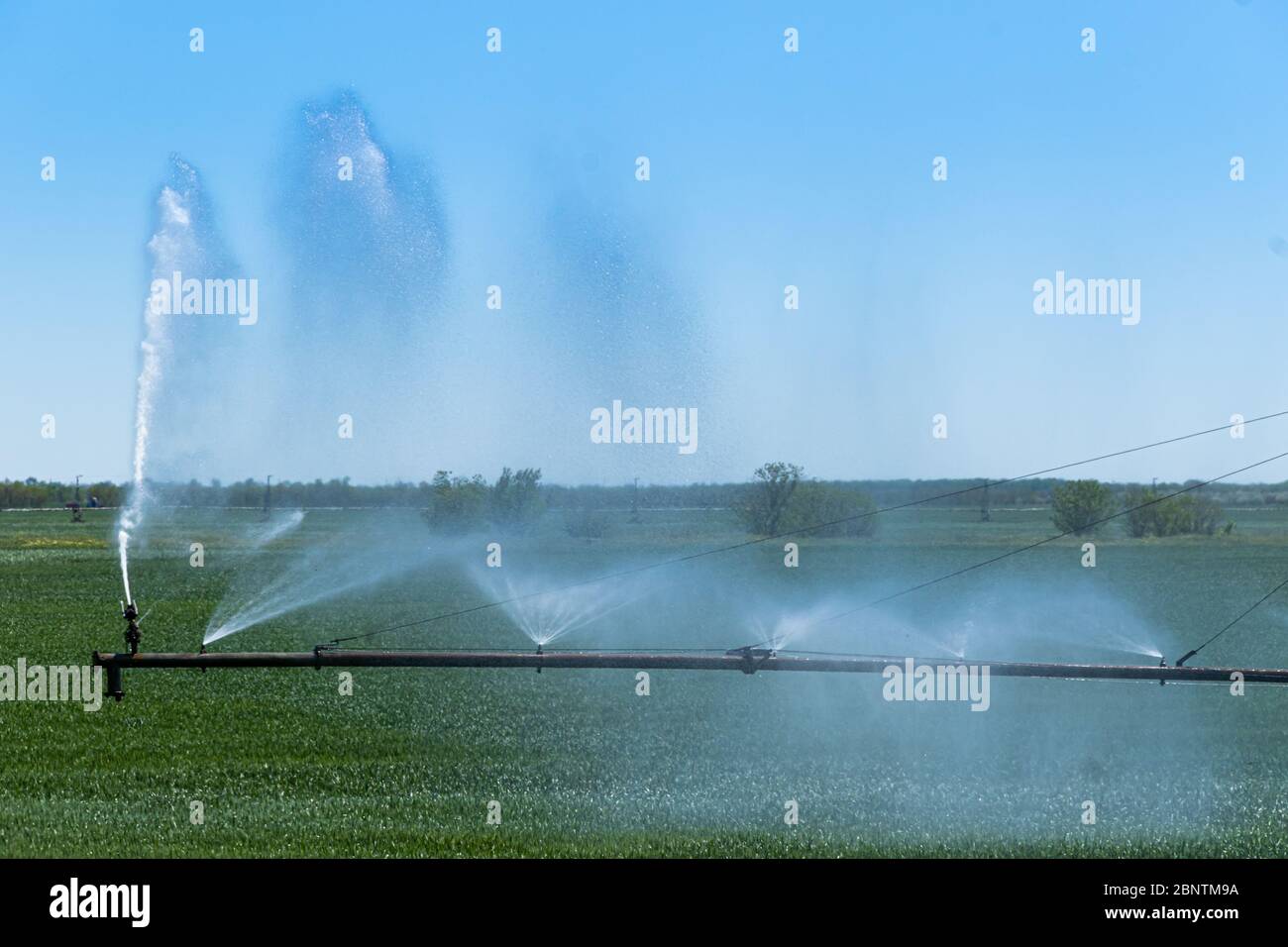 Center pivot crop irrigation or irrigating system for farm management sprays water on the field Stock Photo