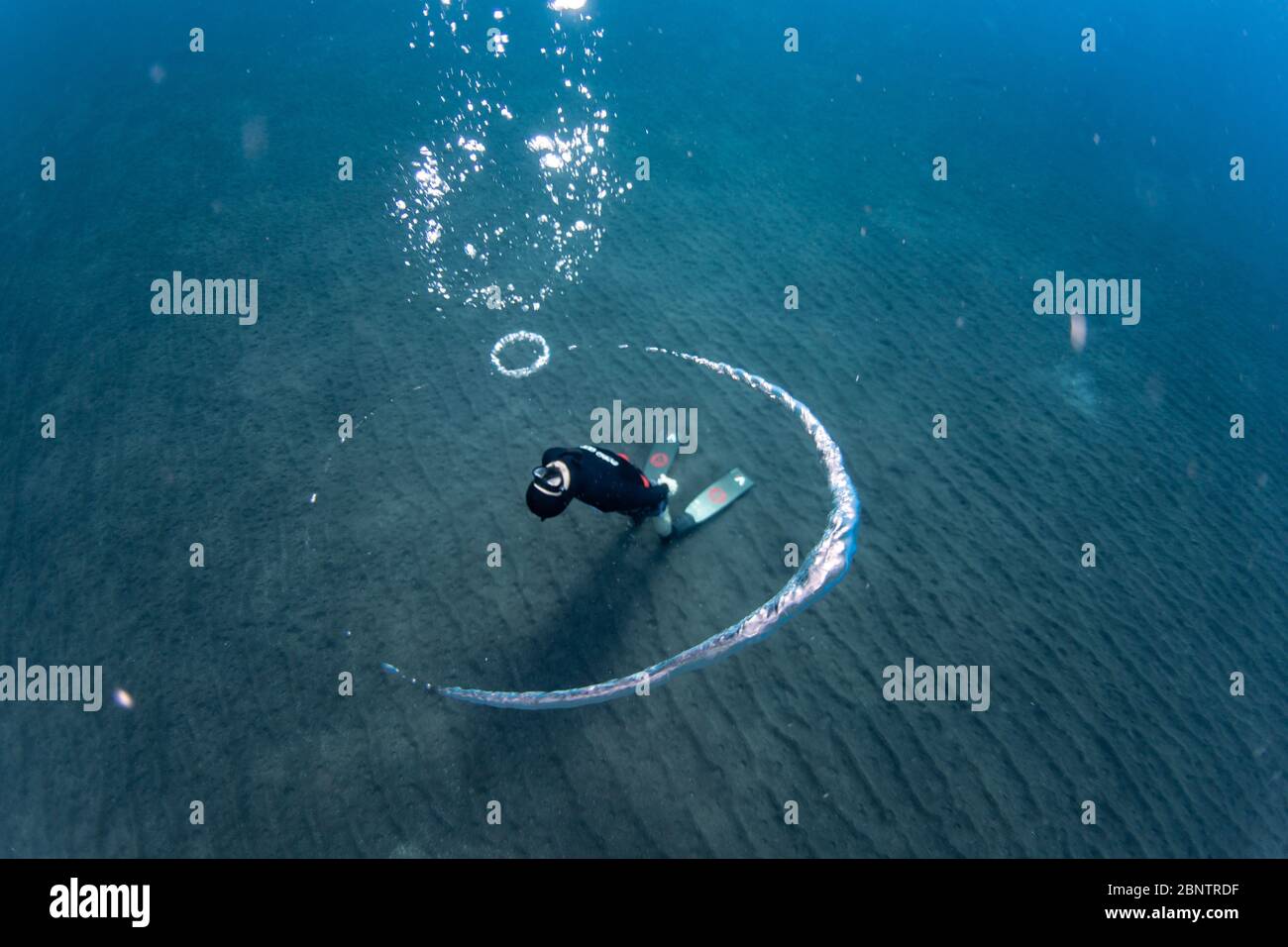 Freediver underwater blowing bubble rings in the shallow water of Tenerife, Canary Islands, Spain. Stock Photo