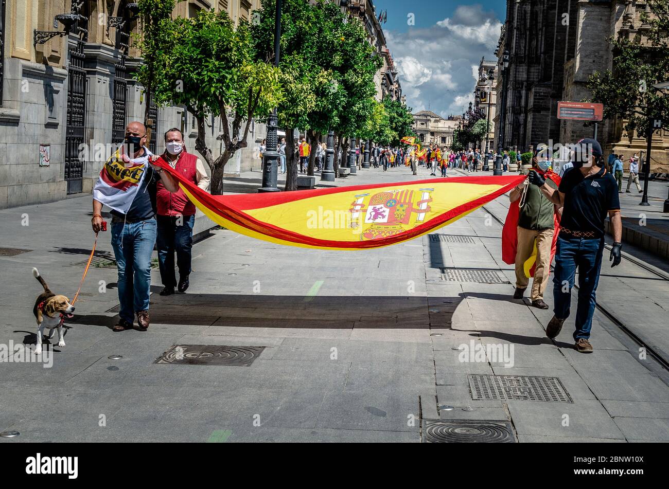 Street demonstration of Spain's far-right party Vox voters during the coronavirus pandemic. Selective focus on the shi Stock Photo