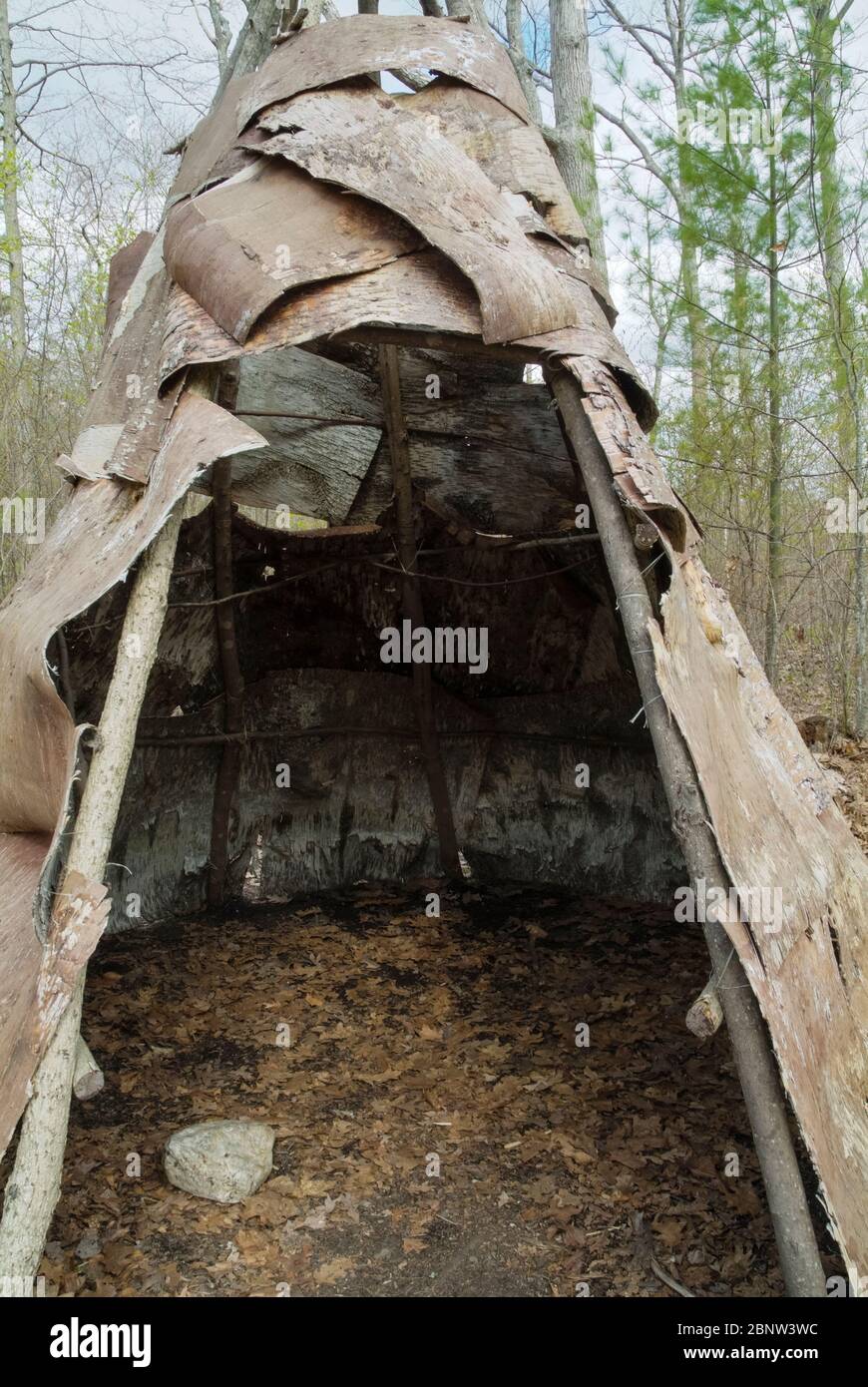 A wigwam at Sandy Point Discovery center in Stratham, New Hampshire. Wigwams are dome-shaped huts or tents that were used by Native American tribes. Stock Photo