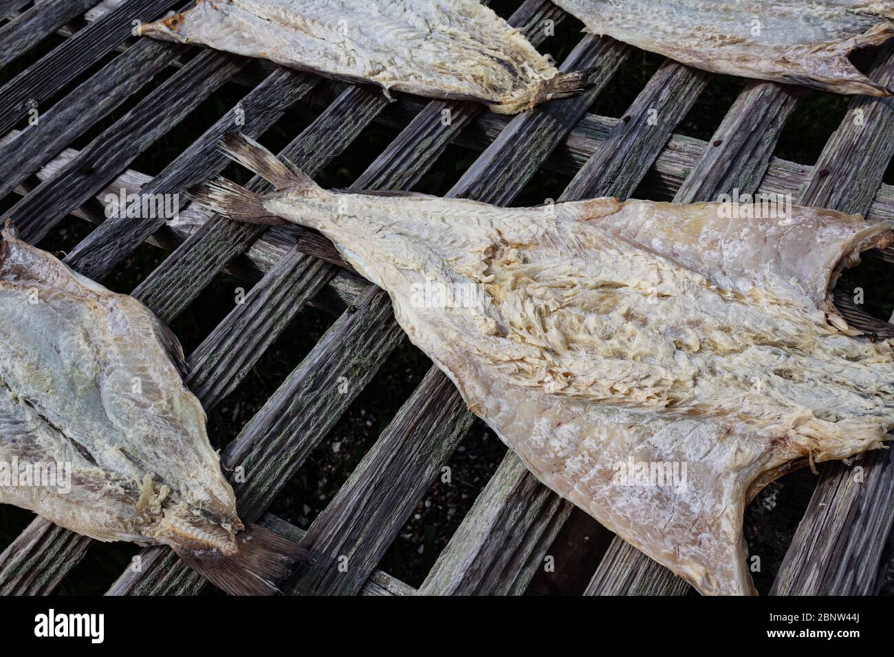 Cod fish, split open and drying on a wooden slat rack, horizontal
