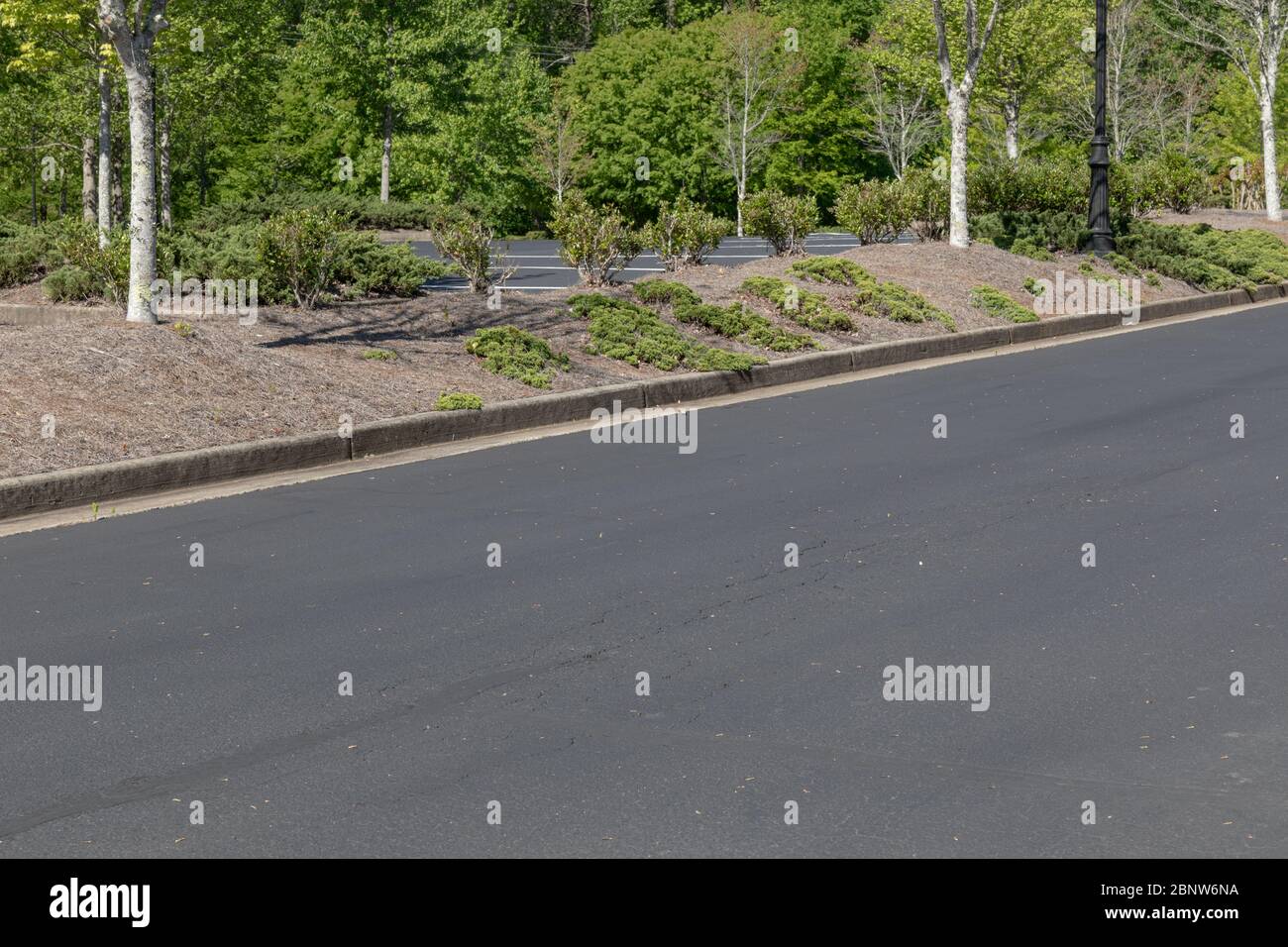 Roadway by parking lot, asphalt with formed concrete curb, trees and