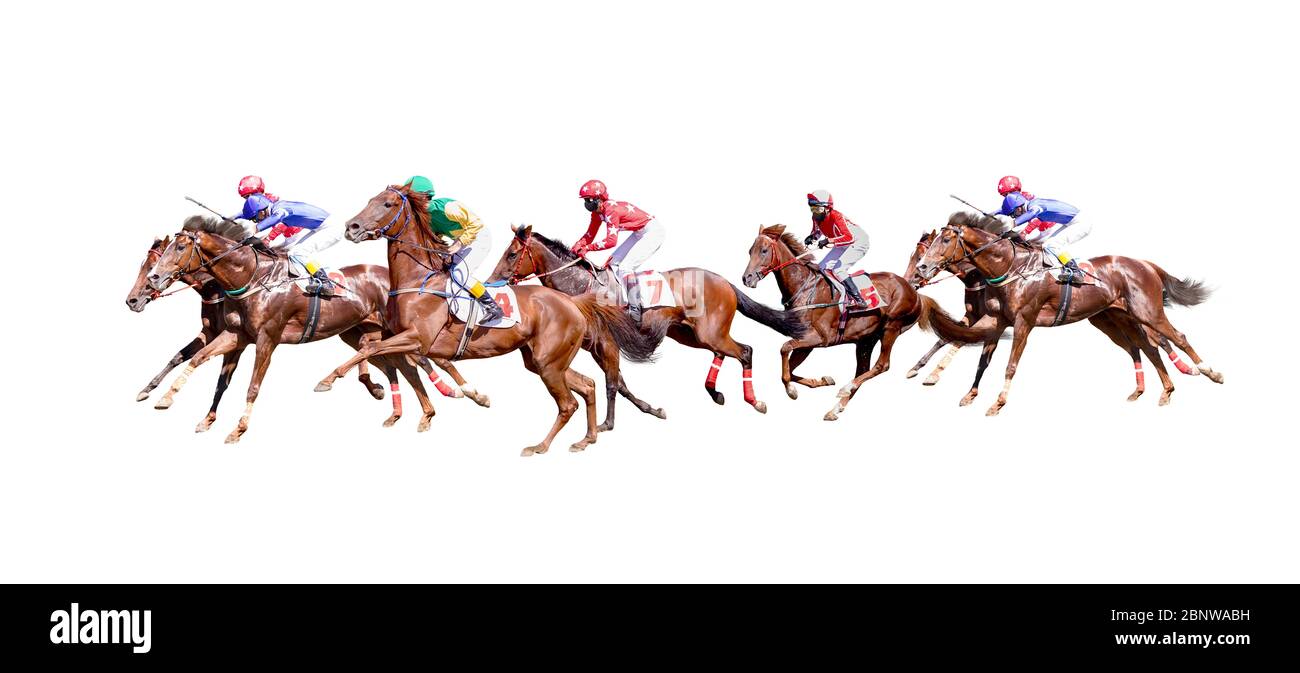 Seven Jokey on a thoroughbred horse run isolated on white background Stock Photo