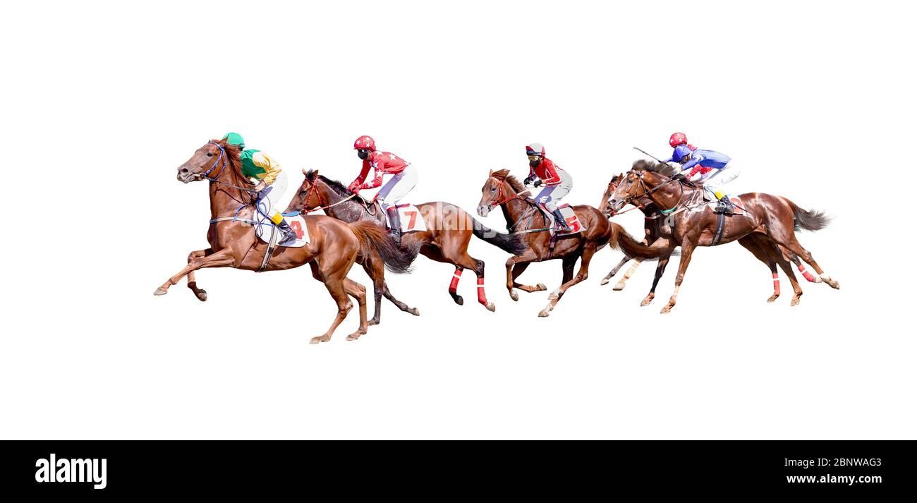 Five Jokey on a thoroughbred horse run isolated on white background Stock Photo
