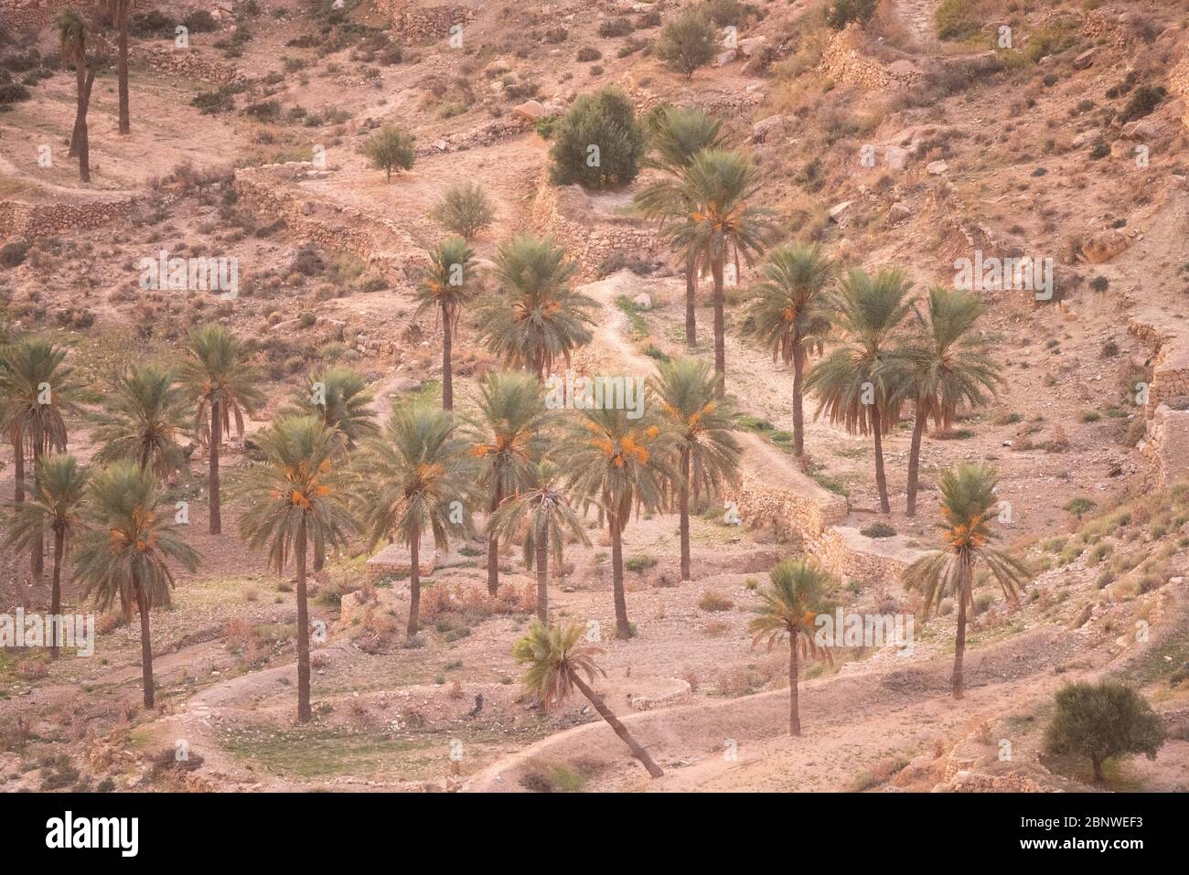 welcome in tunisia, welcome to the djebel dahar Stock Photo - Alamy