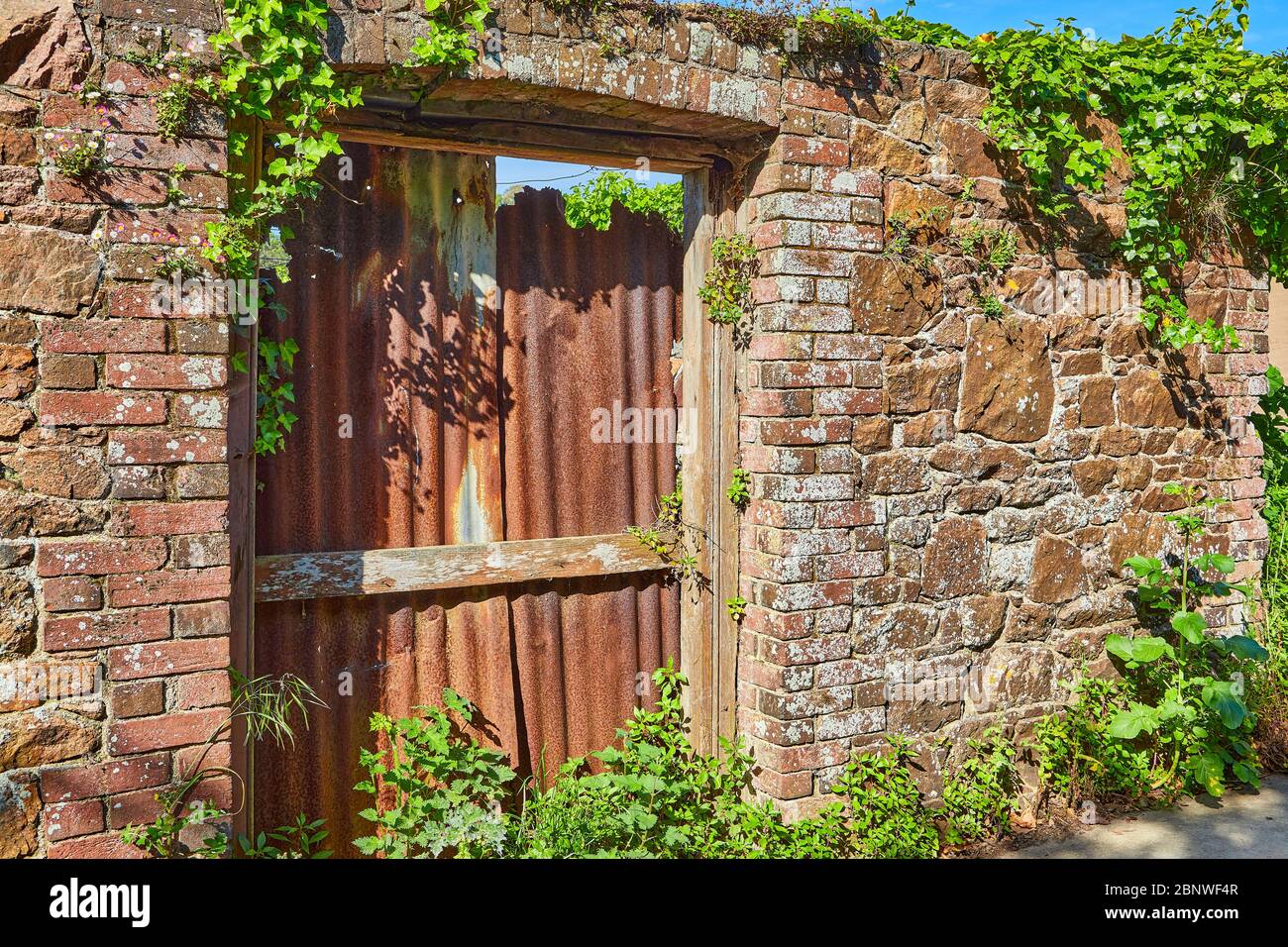 Image of a an old stone wall with an old door opening with brick surround which has been blocked up with rusty corigated iron stheets in the sunshine. Stock Photo