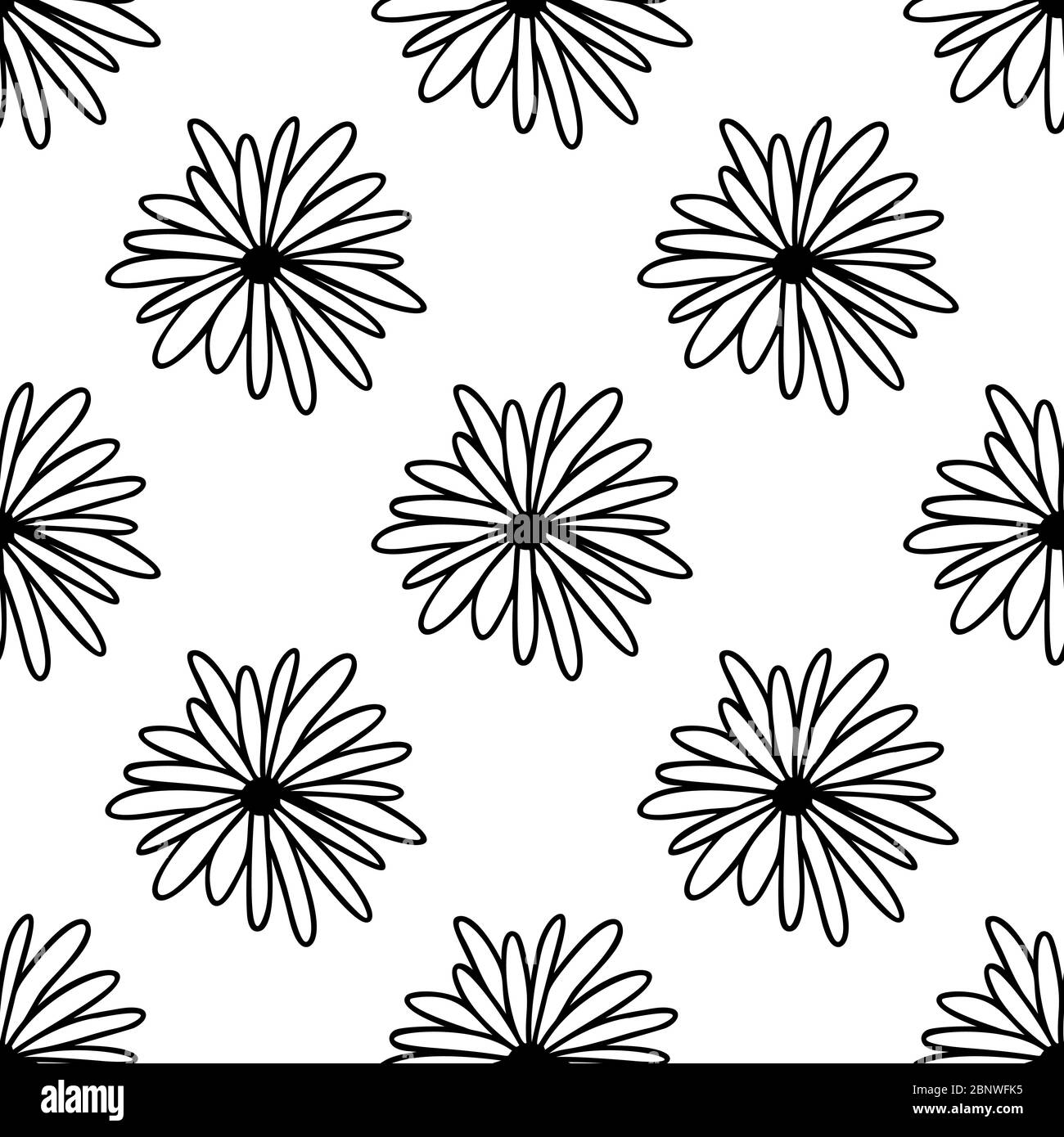 Seamless pattern made from doodle chamomile flowers. Isolated on white ...