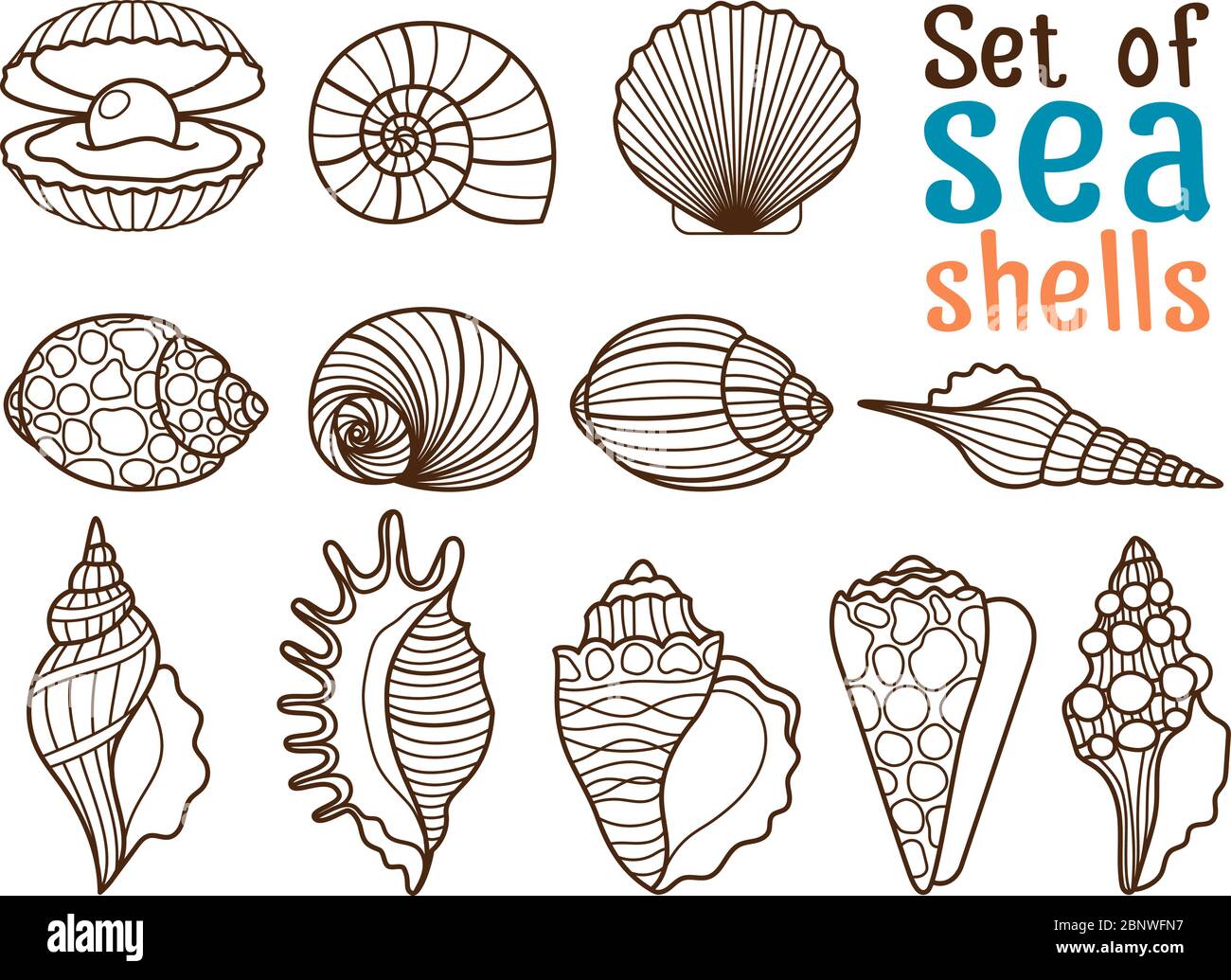 Vector sea shell or marine shells line icons set on white background