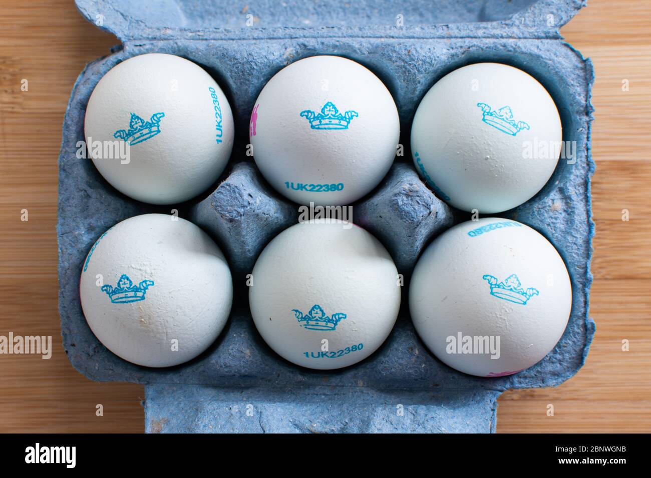 Cotswold Legbar High Resolution Stock Photography and Images Alamy