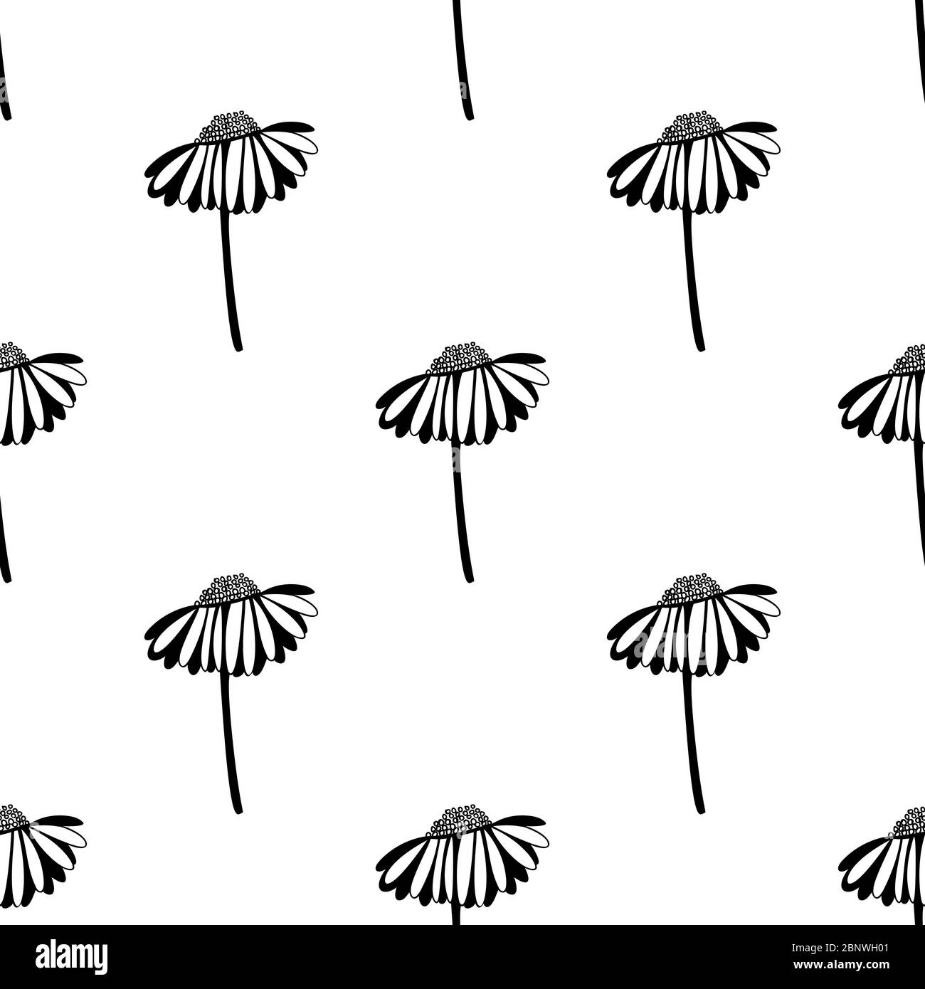 Seamless pattern made from doodle chamomile flowers. Isolated on white ...