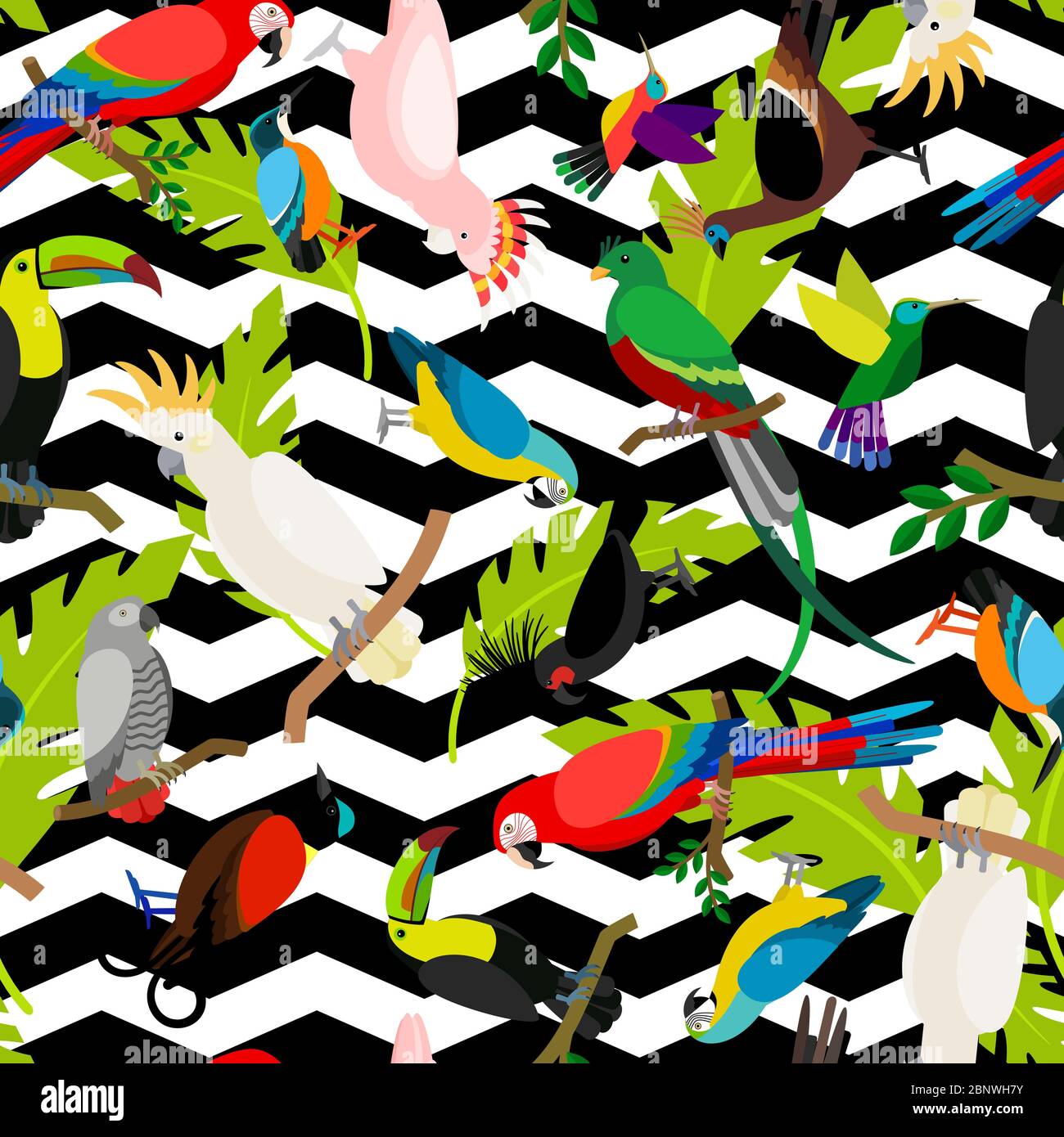 Parrot Backround Pattern Fashion Parrots seamless pattern with black and white zig-zag ...