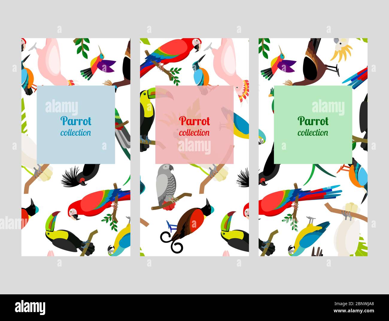 Parrot flyers collection with birds patterns. Vector illustration Stock Vector