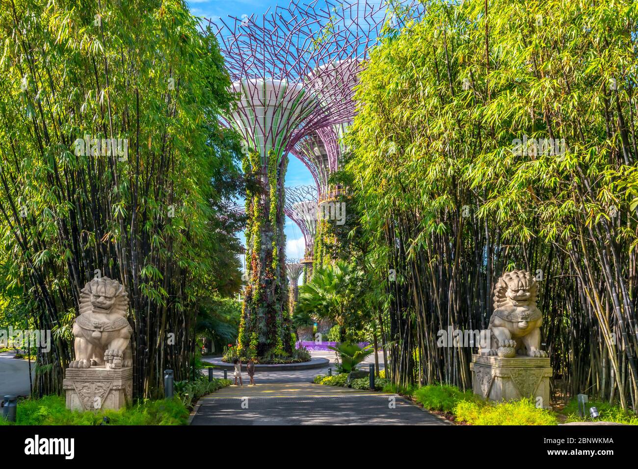 Singapore Gardens by the Bay Stock Photo Alamy