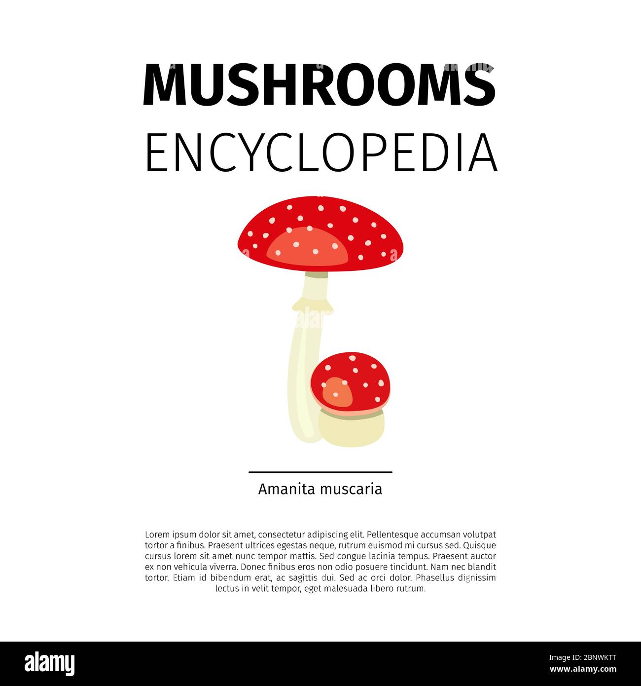 Mushrooms Encyclopedia vector design. Amanita muscaria fungi illustration on white background Stock Vector