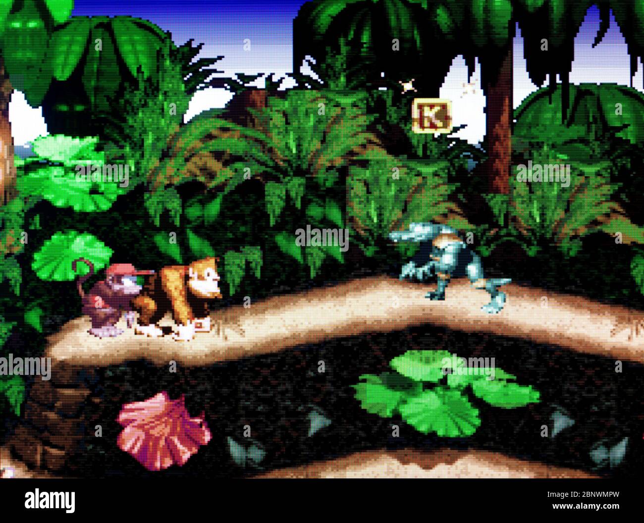 Donkey Kong Country - SNES Super Nintendo - Editorial use only Stock Photo  - Alamy